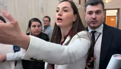 Preşedinta POT, Anamaria Gavrilă, ameninţări la adresa jurnaliştilor din Parlament: Sunteţi o specie pe cale de dispariţie! Abia astept să vă văd GONE!