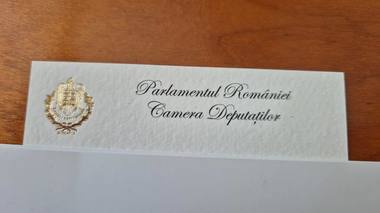 Radu Mihaiu: La Parlament, cărţile de vizită se fac cu foiţă de aur / 310 lei pentru o sută de bucăţi; se decontează pe protocol / Pe piaţa liberă, preţurile sunt între 50 şi 100 de lei / Am fost un pic şocat