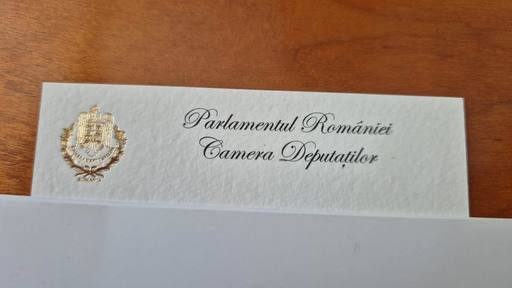 Radu Mihaiu: La Parlament, cărţile de vizită se fac cu foiţă de aur / 310 lei pentru o sută de bucăţi; se decontează pe protocol / Pe piaţa liberă, preţurile sunt între 50 şi 100 de lei / Am fost un pic şocat