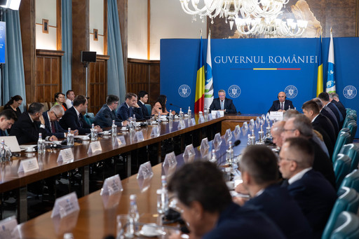Consultări între reprezentanţii Guvernului şi cei ai administraţiei publice locale – S-a realizat o statistică a posturilor aprobate prin orgranigrame, a celor ocupate şi a celor vacante 