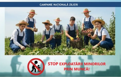 Control al Inspecţiei Muncii la zilieri – Oameni lăsaţi fără plată, puşi să facă munci care nu erau permise sau lipsiţi de condiţii minime de siguranţă / 119 tineri sub 18 ani, între ei / Florin Manole: Este absolut inacceptabil