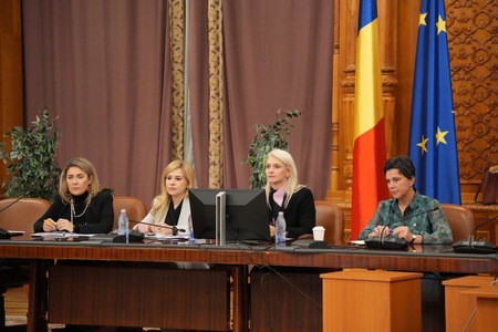 Preşedinta ANES, Luminiţa Popescu, audiată în Comisia ”România fără violenţă domestică” / Alina Gorghiu: Doar 12.000 de victime au beneficiat, direct sau indirect, de servicii de sprijin prin programele ANES, consiliere, adăpost, asistenţă juridică