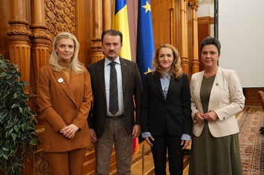 Comisia comună pentru prevenirea, combaterea şi sancţionarea violenţei domestice "România fără violenţă domestică” anunţu un proiect în Parlament: CNA să poată solicita posturilor TV şi radio difuzarea clipurilor de interes public