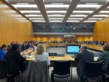 România a fost evaluată pozitiv în Grupul de lucru OCDE pentru integritate publică 