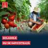 Ministrul Agriculturii anunţă că serele şi solariile fermierilor nu vor fi impozitate