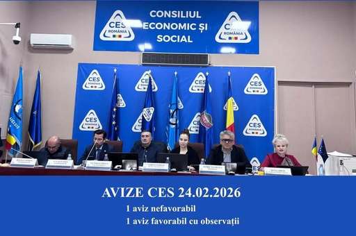 Consiliul Economic şi Social (CES) a avizat nefavorabil Ordonanţa privind reforma administraţiei / Şedinţa de guvern, amânată pentru ora 19.30