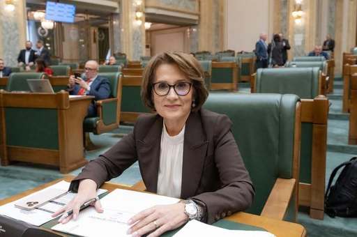 Nicoleta Pauliuc (PNL): Comisiile reunite de apărare au avizat solicitarea lui Nicuşor Dan privind staţionarea temporară pe teritoriul României a unor mijloace tehnice americane cu caracter defensiv