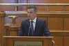 Dezbaterea în Parlament a scrisorii lui Nicuşor Dan - Grindeanu: Ezitările în faţa responsabilităţilor asumate slăbesc relaţiile dintre aliaţi şi pot genera vulnerabilităţi periculoase/ Votul pentru această decizie, unul pentru siguranţa reală a României