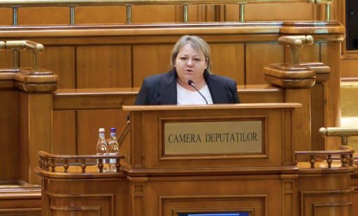 AUR anunţă că amendamentul său pentru înfiinţarea centrelor comunitare din Roma, Londra şi Castellón de la Plana a fost adoptat de comisiile de buget
