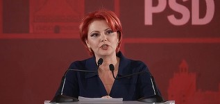 Lia Olguţa Vasilescu: Dacă ar fi să dăm definiţia crizei, dacă ne-am uita în dicţionar, am vedea fotografia lui Ilie Bolojan / De fapt, pe Ilie Bolojan nu îl trimite acasă PSD-ul, îl trimite acasă INS-ul
