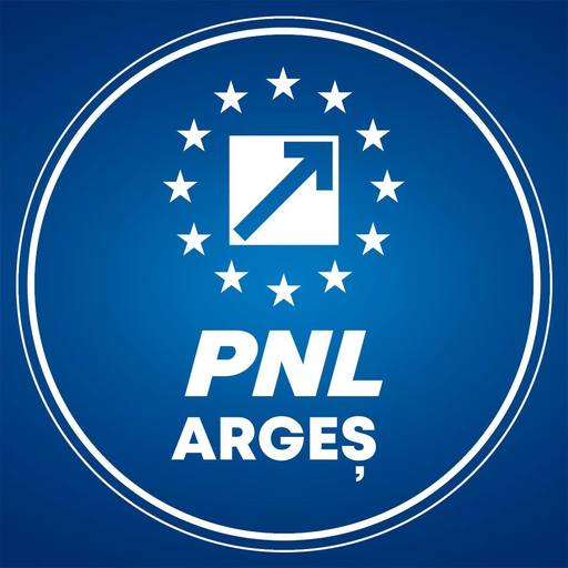 Revocarea din funcţie a vicepreşedintelui CJ Argeş, trimis în judecată pentru corupţie, blocată de PSD/ PNL anunţă că va continua demersurile
