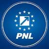Delegaţia europarlamentarilor PNL: Atragem atenţia asupra informaţiilor false promovate de PSD cu privire la posibilitatea prelungirii termenului de implementare a PNRR