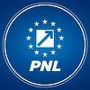 PNL: PSD dărâmă ce a construit Guvernul Bolojan. Măsurile blocate de social-democraţi afectează persoane cu dizabilităţi, tineri şi fondurile europene ale României / PSD încearcă să obţină în instanţă ceea ce nu a reuşit să obţină în plan politic