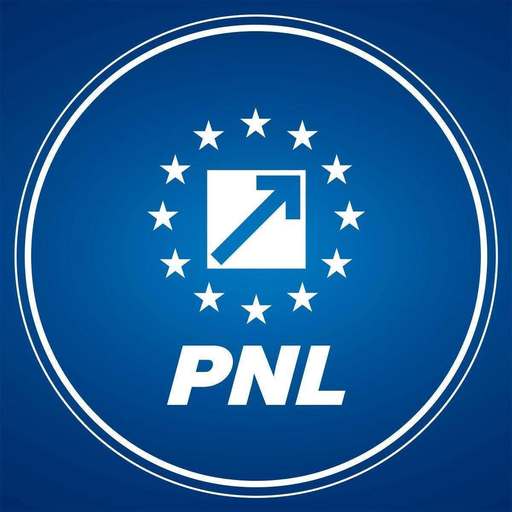 PNL: PSD dărâmă ce a construit Guvernul Bolojan. Măsurile blocate de social-democraţi afectează persoane cu dizabilităţi, tineri şi fondurile europene ale României / PSD încearcă să obţină în instanţă ceea ce nu a reuşit să obţină în plan politic