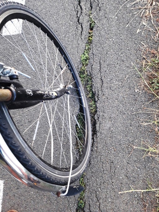 USR Bucureşti propune proiectul „InfraVelo Bucureşti”, menit să accelereze dezvoltarea infrastructurii pentru biciclete