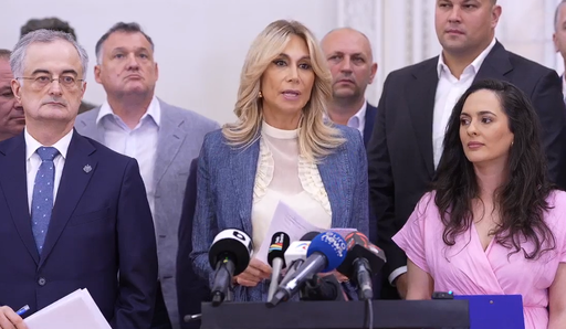 PNL şi USR cer renunţarea la votul online, în Parlament. Raluca Turcan: Sunt zeci de parlamentari cunoscuţi pe TikTok, dar abia dacă au păşit instituţia Parlamentului şi îşi desfăşoară întreaga activitate, confortabil, dintr-un fotoliu 