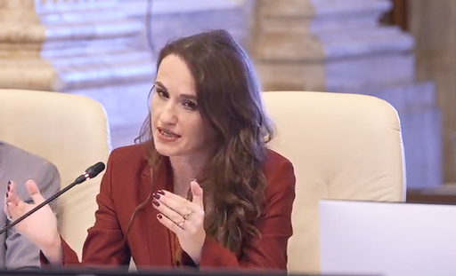 Ministrul propus la Externe, Oana Ţoiu, aviz favorabil în comisiile de specialitate / Este primul ministru propus de USR avizat pozitiv