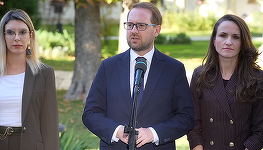CONSULTĂRI LA COTROCENI – Dominic Fritz (USR): Credem că soluţia anticipatelor este o soluţie nu doar constituţională, ci şi soluţia cea mai sinceră faţă de români