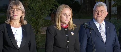 CONSULTĂRI LA COTROCENI - Nadia Cerva (PACE – Întâi România): Nu mizează nimeni pe anticipate, este doar un subiect de campanie electorală pentru USR şi AUR. Am fi de acord cu anticipate, dacă ar fi plătite din banii celor care le solicită