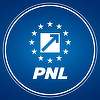 Premierul desemnat, întrebat dacă va discuta cu aripa conservatoare din PNL: Discut cu liderii partidelor / Ei decid pe cine aduc la masa de discuţie / Nu intru eu în politica internă a fiecărui partid