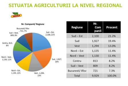 Studiu: Primăvara ploioasă anunţă cel mai bun an în agricultură din ultimul deceniu