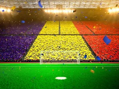 Paravion: O treime dintre românii care merg în Franţa pentru meciurile naţionalei şi-au cumpărat pachetele în rate