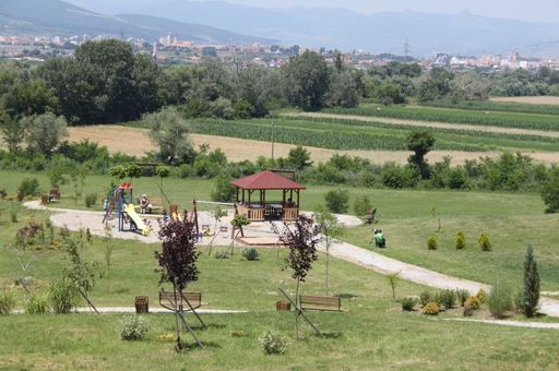 Aproape 700.000 de fermieri din România primesc 1,9 miliarde lei de la UE pentru că practică o agricultură benefică pentru mediu