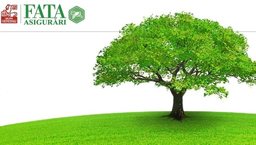 ASF a dat undă verde lichidării Fata Asigurări, după ce acţionarii italienii au decis închiderea filialei. KPMG, numit lichidator 