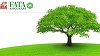 ASF a dat undă verde lichidării Fata Asigurări, după ce acţionarii italienii au decis închiderea filialei. KPMG, numit lichidator 