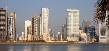 Un miliardar din Emirate a plătit 4,9 milioane de dolari pentru a avea cifra 1 pe plăcuţa de înmatriculare a maşinii