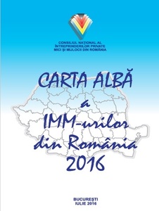 RAPORT: Birocraţia, fiscalitatea excesivă şi corupţia sunt cele mai mari nemulţumiri ale patronilor de IMM-uri din România