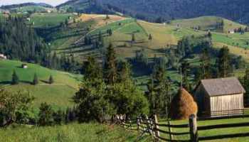 Fonduri europene de până la 200.000 de euro pe proiect pentru afaceri în mediul rural

