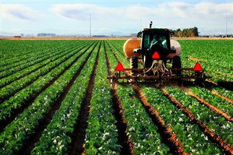 Direcţiile judeţene pentru agricultură vor prelua camerele agricole, care se desfiinţează

