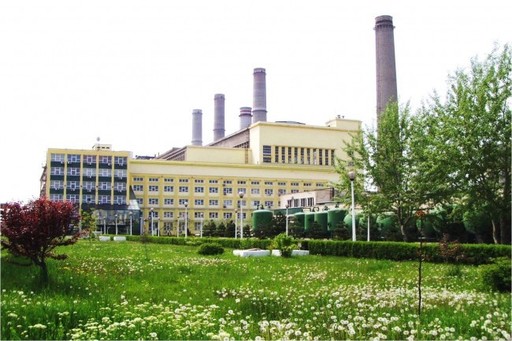 Prima decizie importantă a lui Remus Borza la CET Govora: a tăiat aburul furnizat Uzinelor Sodice Govora pe motiv că preţul este sub costuri