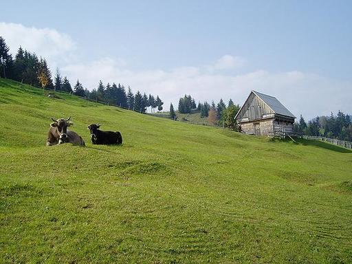 Ministerul Agriculturii vrea să înfiinţeze o nouă agenţie, care să preia institutele de cercetare ale Academiei de Şiinţe Agricole şi Silvice