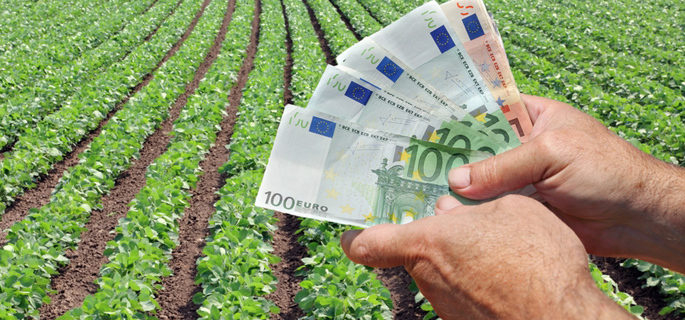 APIA a plătit peste 1,8 miliarde de euro pentru aproape toate cererile aferente campaniei agricole din 2015 
