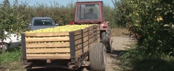 Agricultorii au la dispoziţie fonduri nerambursabile de aproape 46 milioane euro, pentru investiţii în procesarea produselor agricole şi pomicole