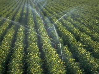 Irimescu: Agricultorii nu sunt interesaţi să acceseze fonduri pentru irigaţii; fermierii se plâng că în zonele amenajate lipsesc echipamentele şi utilajele pentru irigat 
