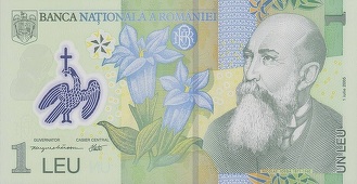Cursul BNR: Euro scade la 4,4549 lei; dolarul coboară la 3,9450 lei