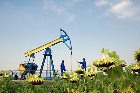 Expert Petroleum a înlocuit filiala Petrofac ca partener al OMV Petrom în contractul privind creşterea producţiei de petrol în perimetrul Ţicleni