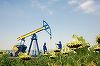 Expert Petroleum a înlocuit filiala Petrofac ca partener al OMV Petrom în contractul privind creşterea producţiei de petrol în perimetrul Ţicleni