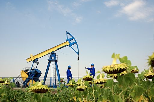 Expert Petroleum a înlocuit filiala Petrofac ca partener al OMV Petrom în contractul privind creşterea producţiei de petrol în perimetrul Ţicleni