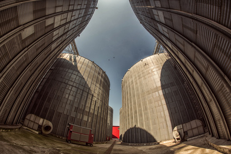 Capacitatea de depozitare a cerealelor din România a crescut cu 34% în ultimii cinci ani, până la 23,3 milioane tone. Marii traderi de cereale au acaparat cea mai mare parte a depozitelor