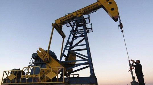 Putin: Rusia este dispusă să îngheţe sau să reducă producţia de petrol, în colaborare cu OPEC