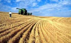 INS: Producţia agricolă din România a scăzut cu 6,8% în 2015, faţă de 2014
