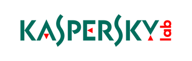 Kaspersky: Instituţiile guvernamentale din România sunt vulnerabile la atacurile spionilor cibernetici, din cauza sistemelor IT învechite 