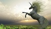 Companiile unicorn din Silicon Valley ar putea stimula piaţa ofertelor publice iniţiale în 2017