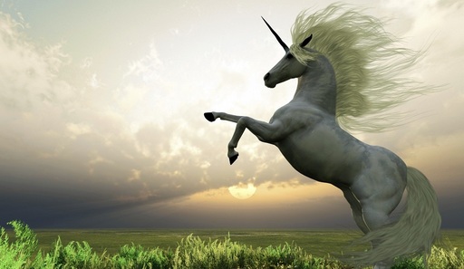 Companiile unicorn din Silicon Valley ar putea stimula piaţa ofertelor publice iniţiale în 2017