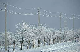 E-Distribuţie Dobrogea: 171 de localităţi din judeţele Constanţa, Tulcea, Călăraşi şi Ialomiţa nu erau alimentate cu energie electrică la ora 14.00
