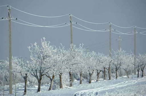 E-Distribuţie Dobrogea: 171 de localităţi din judeţele Constanţa, Tulcea, Călăraşi şi Ialomiţa nu erau alimentate cu energie electrică la ora 14.00